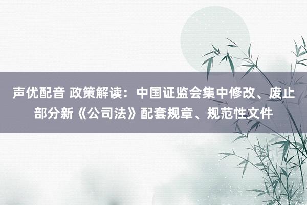 声优配音 政策解读：中国证监会集中修改、废止部分新《公司法》配套规章、规范性文件