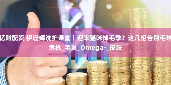 亿财配资 伊珊娜洗护课堂丨迎来猫咪掉毛季？这几招告别毛球危机_毛发_Omega-_皮肤