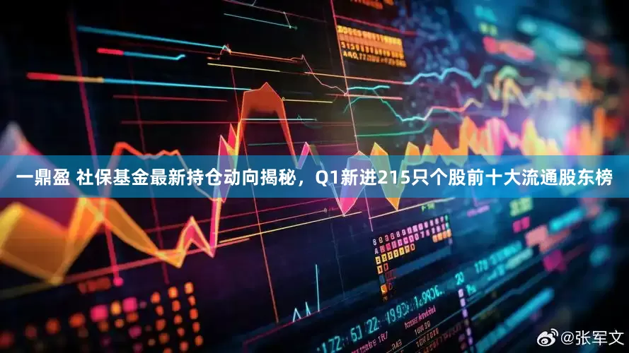 一鼎盈 社保基金最新持仓动向揭秘，Q1新进215只个股前十大流通股东榜