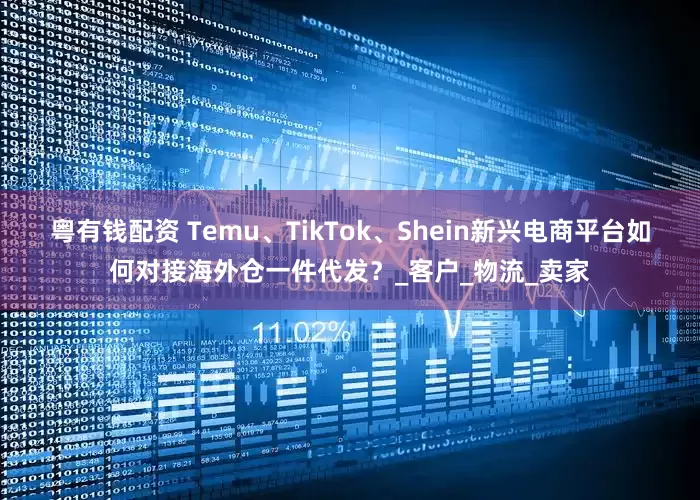 粤有钱配资 Temu、TikTok、Shein新兴电商平台如何对接海外仓一件代发？_客户_物流_卖家