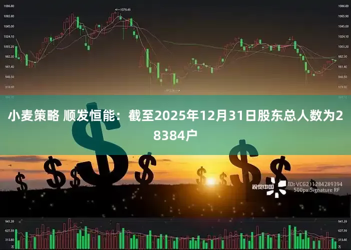 小麦策略 顺发恒能：截至2025年12月31日股东总人数为28384户
